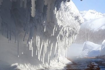 Le travertin est-il un bon choix pour un mur de douche ?