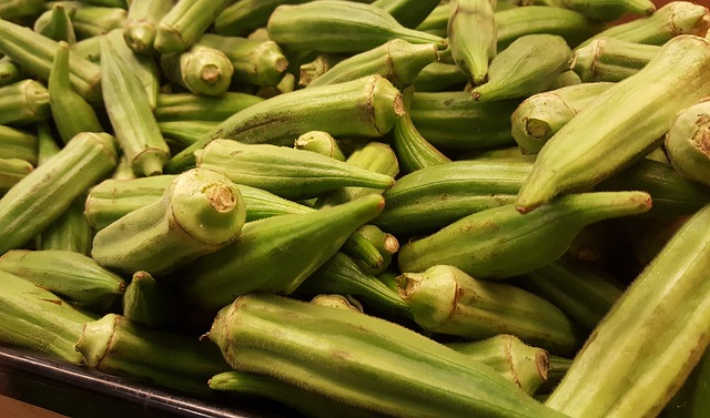 Substituts pour l'Okra