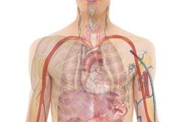 À quoi ressemble la radiographie d'un fumeur ?