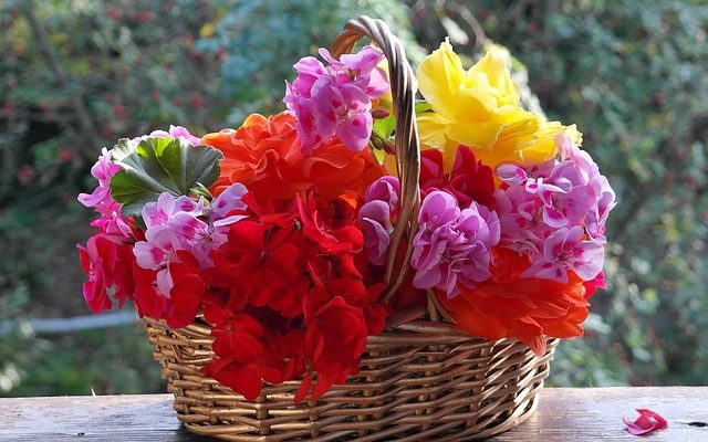 Comment remplir une jardinière de patio