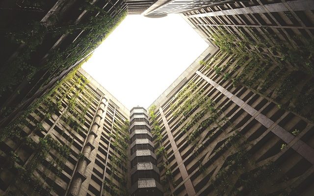 Idées de jardinage pour les murs en béton