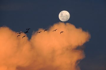 Projets de ciel de jardin d'enfants pendant le jour et la nuit.