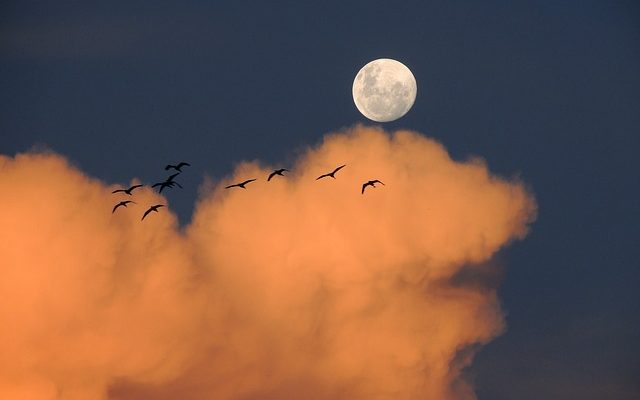 Projets de ciel de jardin d'enfants pendant le jour et la nuit.