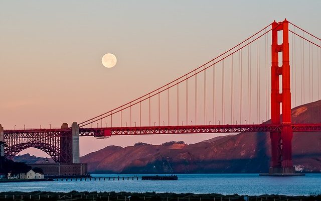 Quelles créatures vivent dans la zone Hadalpelagique ?