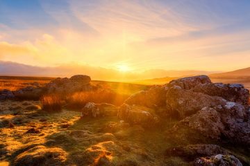 Types de sol pour les minéraux d'or