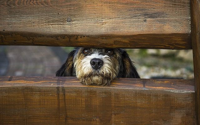 Comment fabriquer une clôture en bois