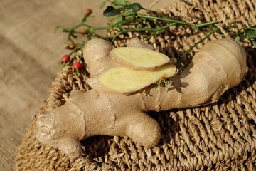 Comment faire du jus de gingembre