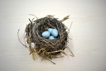 Comment faire éclore des bantams dans un incubateur