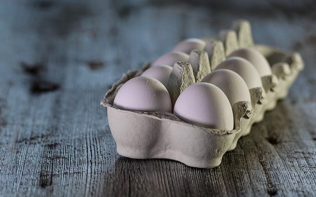 Comment incuber des œufs de paon