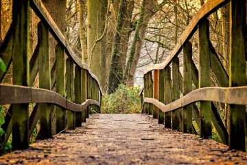 Comment nettoyer la moisissure verte à l'extérieur d'un pont peint à l'extérieur