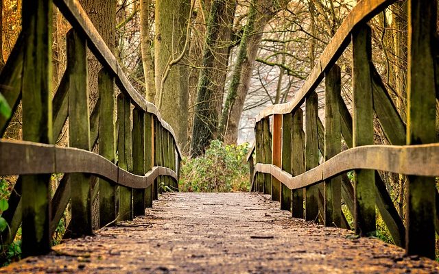 Comment nettoyer la moisissure verte à l'extérieur d'un pont peint à l'extérieur