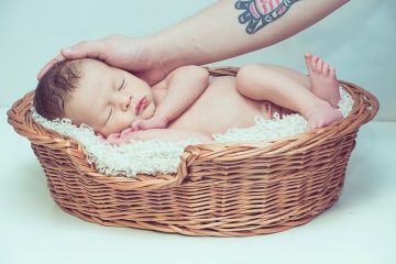 Que mangent les bébés Robins à part les vers ?