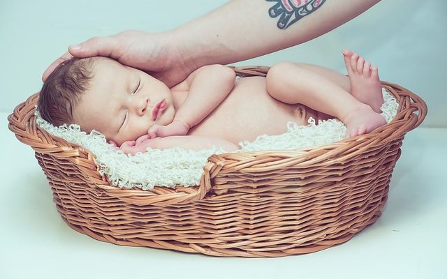 Que mangent les bébés Robins à part les vers ?