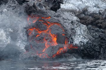 Quels sont les traitements pour les brûlures de créosote ?