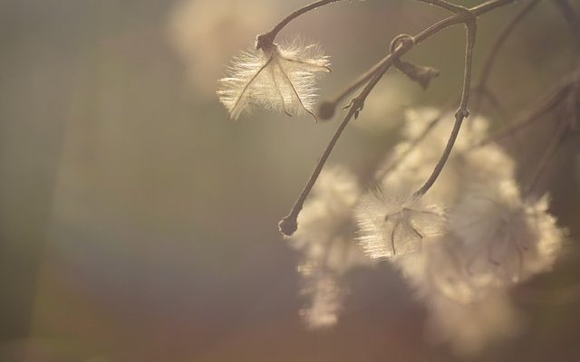 Comment ajouter un filigrane d'arrière-plan à un courriel outlook