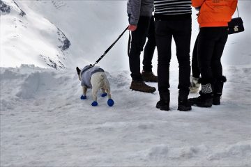 Comment concevoir un survêtement à chenilles