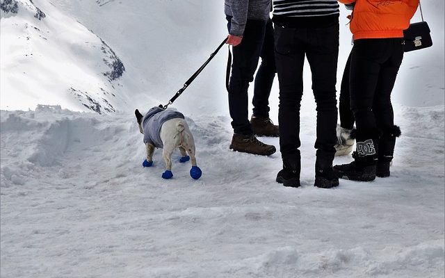 Comment concevoir un survêtement à chenilles