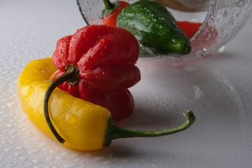 Comment cultiver des poivrons habanero à partir de graines