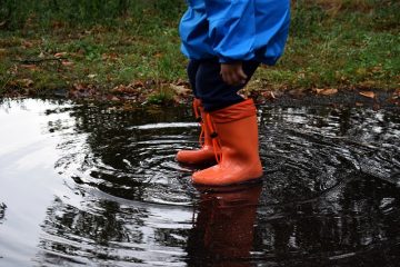 Comment élargir les bottes pour les gros veaux