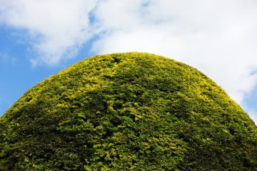 Comment fabriquer un gabarit de topiaire d'extérieur