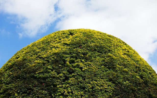 Comment fabriquer un gabarit de topiaire d'extérieur