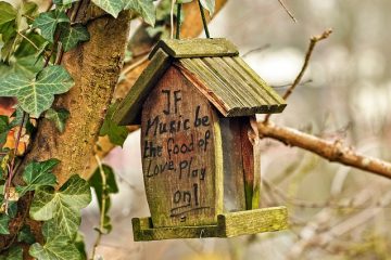 Comment fabriquer un nichoir à oiseaux