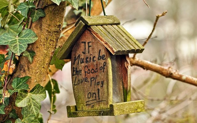 Comment fabriquer un nichoir à oiseaux