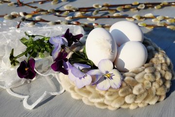 Comment tailler un saule frisé