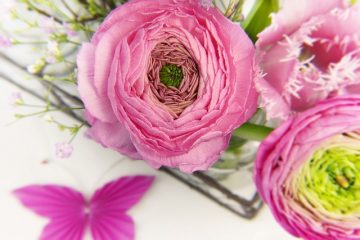 Idées de fête d'anniversaire pour une personne de 70 ans