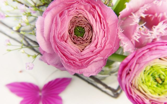 Idées de fête d'anniversaire pour une personne de 70 ans