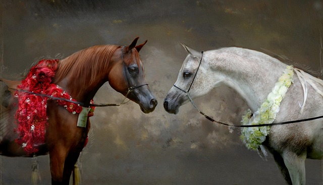 La toxicité des frênes pour les chevaux