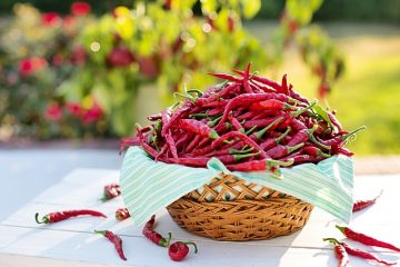 Poivrons rouges non comestibles