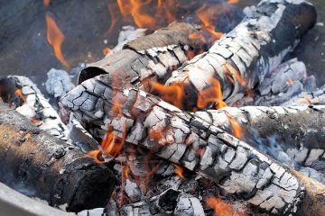 Principales différences entre les brûleurs à bois et les brûleurs à charbon