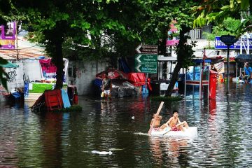 Projets d'art sur les catastrophes naturelles