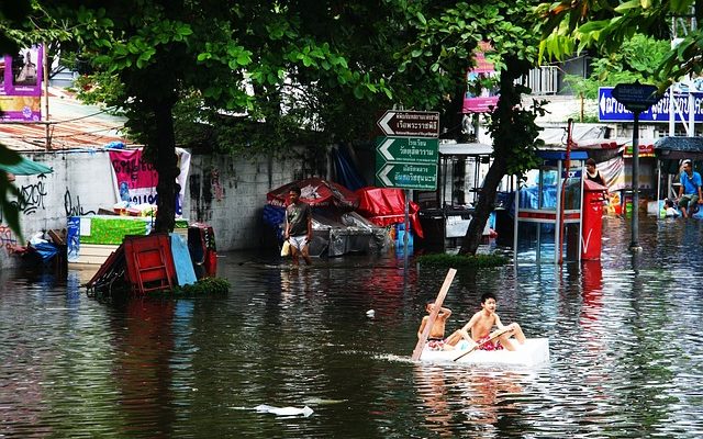 Projets d'art sur les catastrophes naturelles