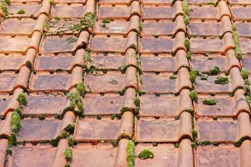 Remèdes à domicile pour l'élimination de la mousse de toit