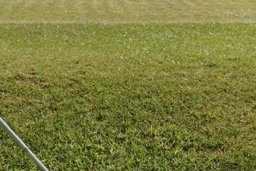 Réparer les puces dans les boules de bowling