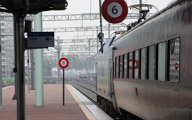 Résistance aux puces sur la ligne de front