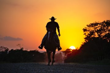 Traitement de l'asthme chez les chevaux