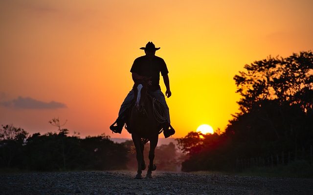 Traitement de l'asthme chez les chevaux