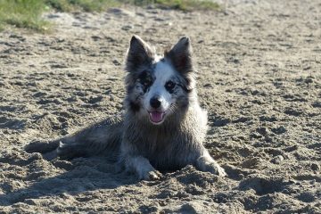 Comment coller les châteaux de sable