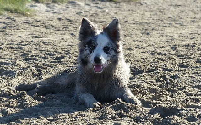 Comment coller les châteaux de sable