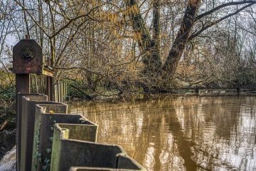 Comment construire et sceller un réservoir à koi en bois.