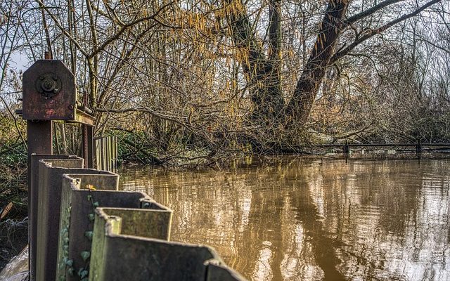 Comment construire et sceller un réservoir à koi en bois.