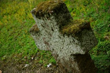 Comment enlever la mousse et le lichen d'un toit.