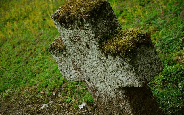 Comment enlever la mousse et le lichen d'un toit.