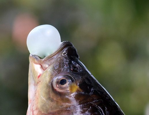 Comment prévenir le gonflement des jets d'eau