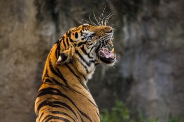 Comment tremper les pieds dans l'eau tiède