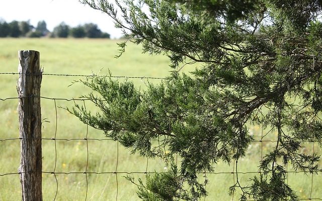 Comment utiliser des clous ou des agrafes sur les clôtures en cèdre