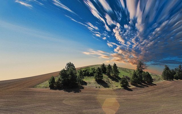 Différence entre la terre végétale et le compost